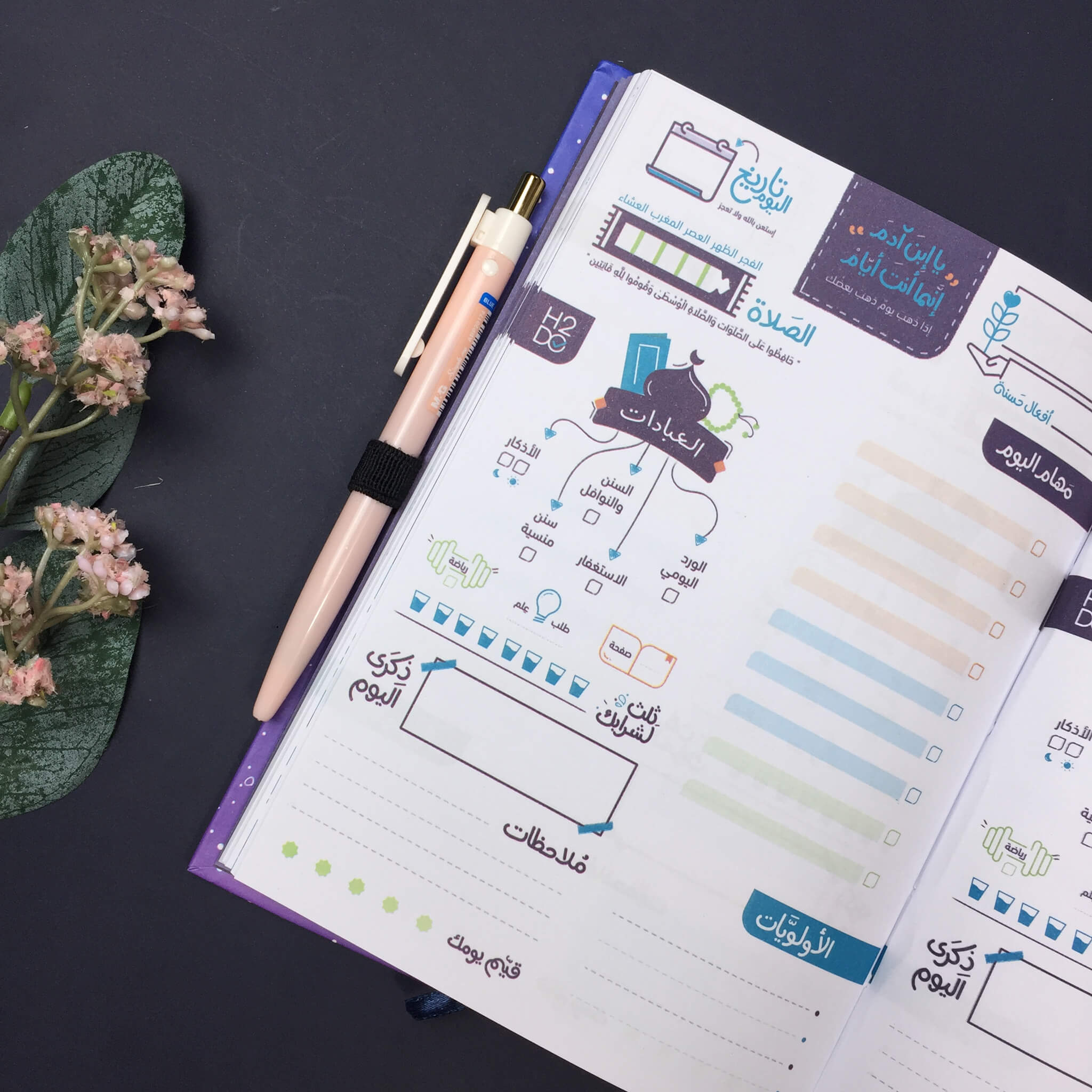 100 Days Plan