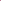 Hot Short Plain Lycra Rosa (2 Packs) fuchsia-navy cotton-95-lycra-5 Women Underwear